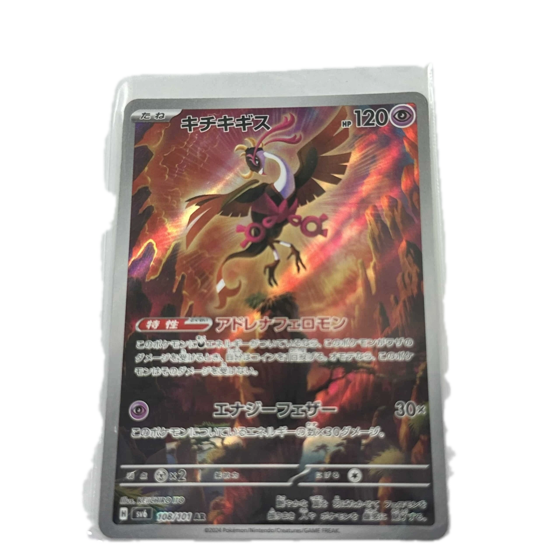 [FEZXX00] Fezandipiti Art Rare – Asia