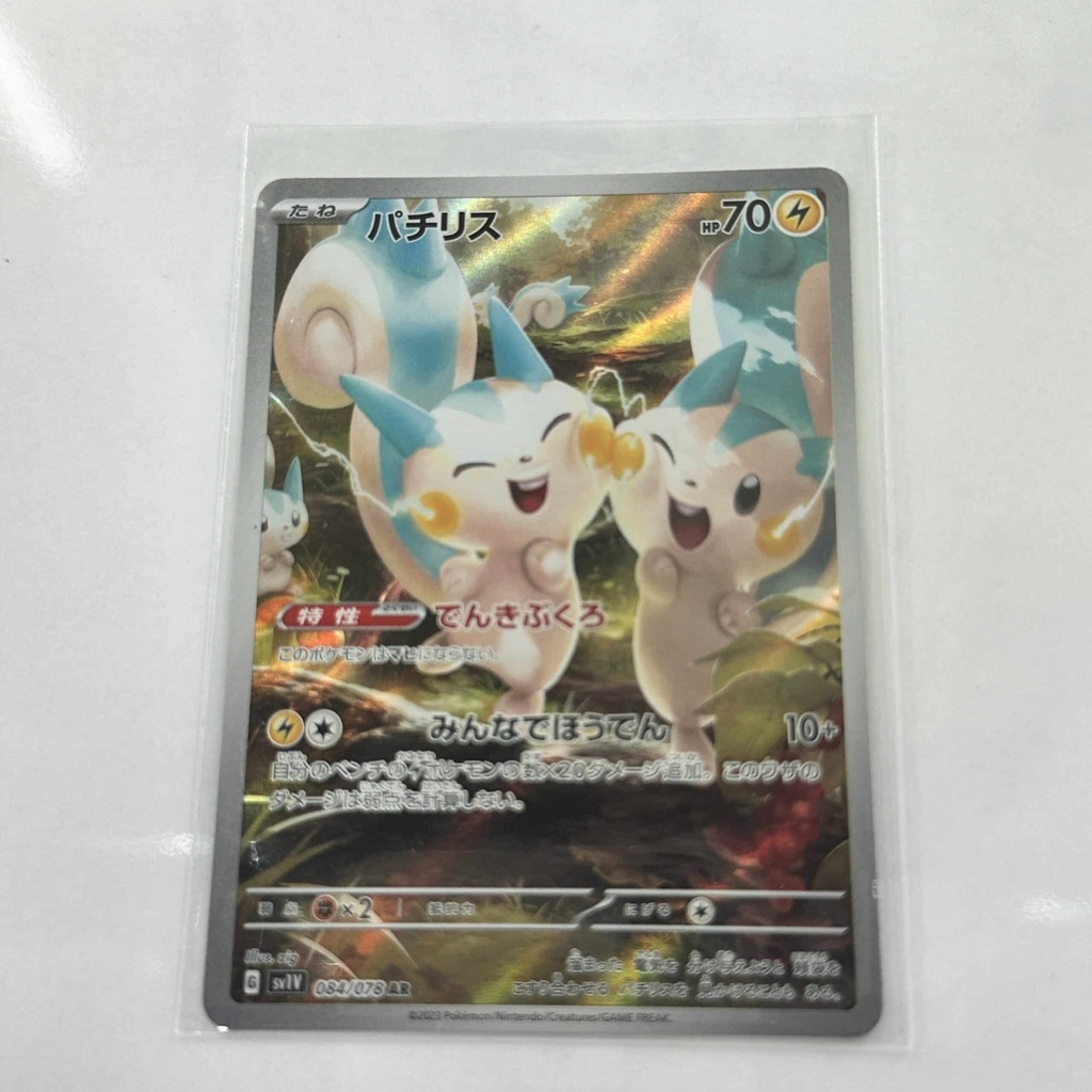 Pachirisu Art Rare – Asia