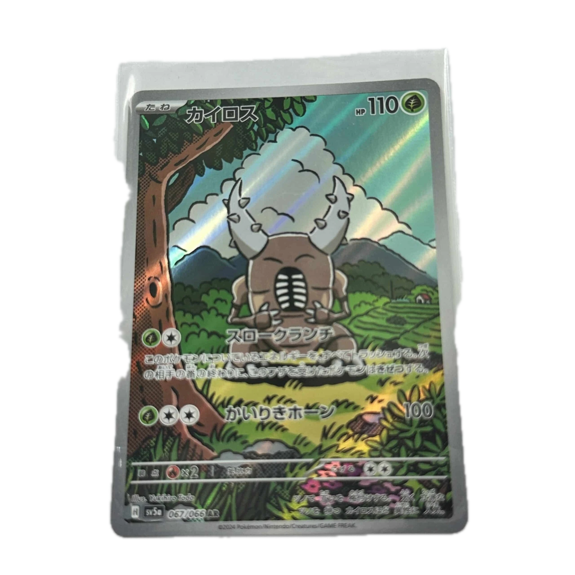 [PINXX00] Pinsir Art Rare – Asia