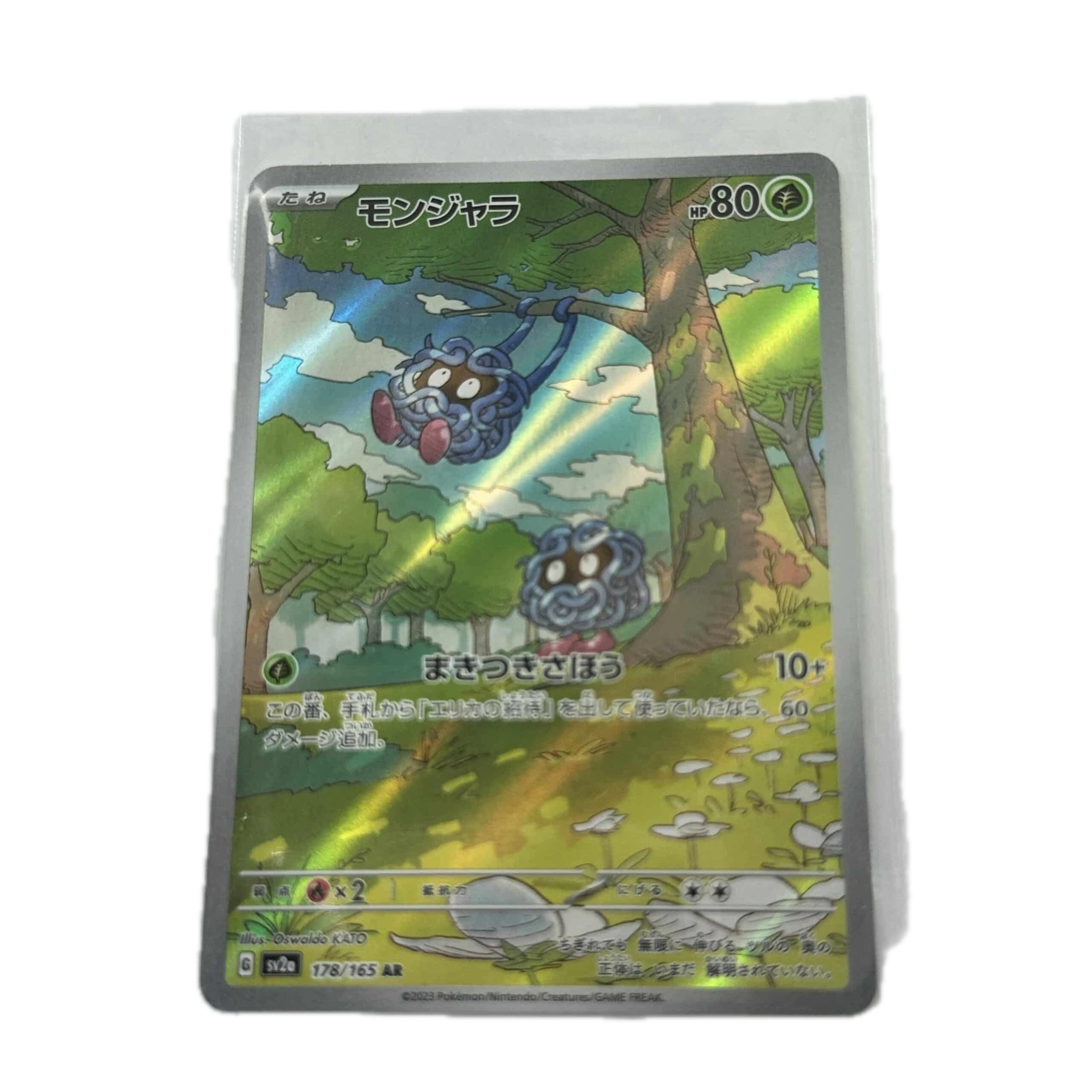 [TANXX00] Tangela Art Rare – Asia