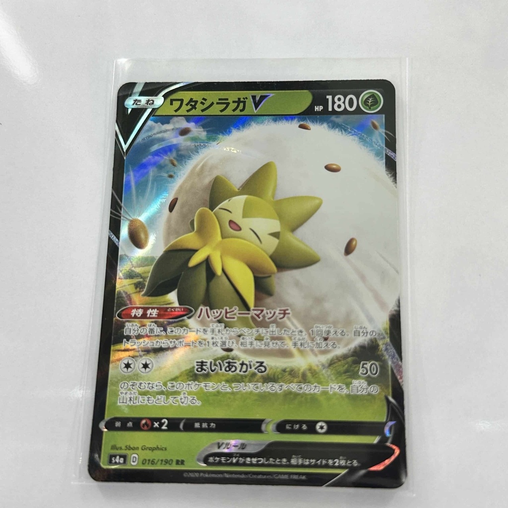 Eldegoss V – Asia