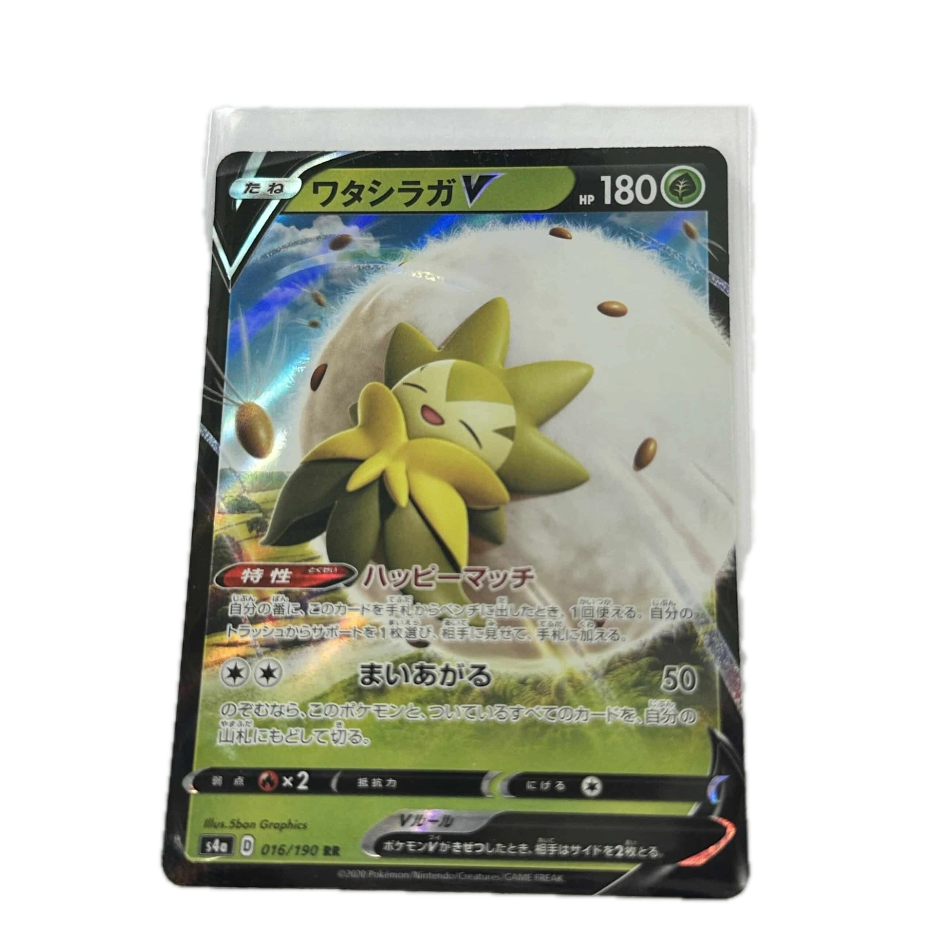 [ELDXX00] Eldegoss V – Asia