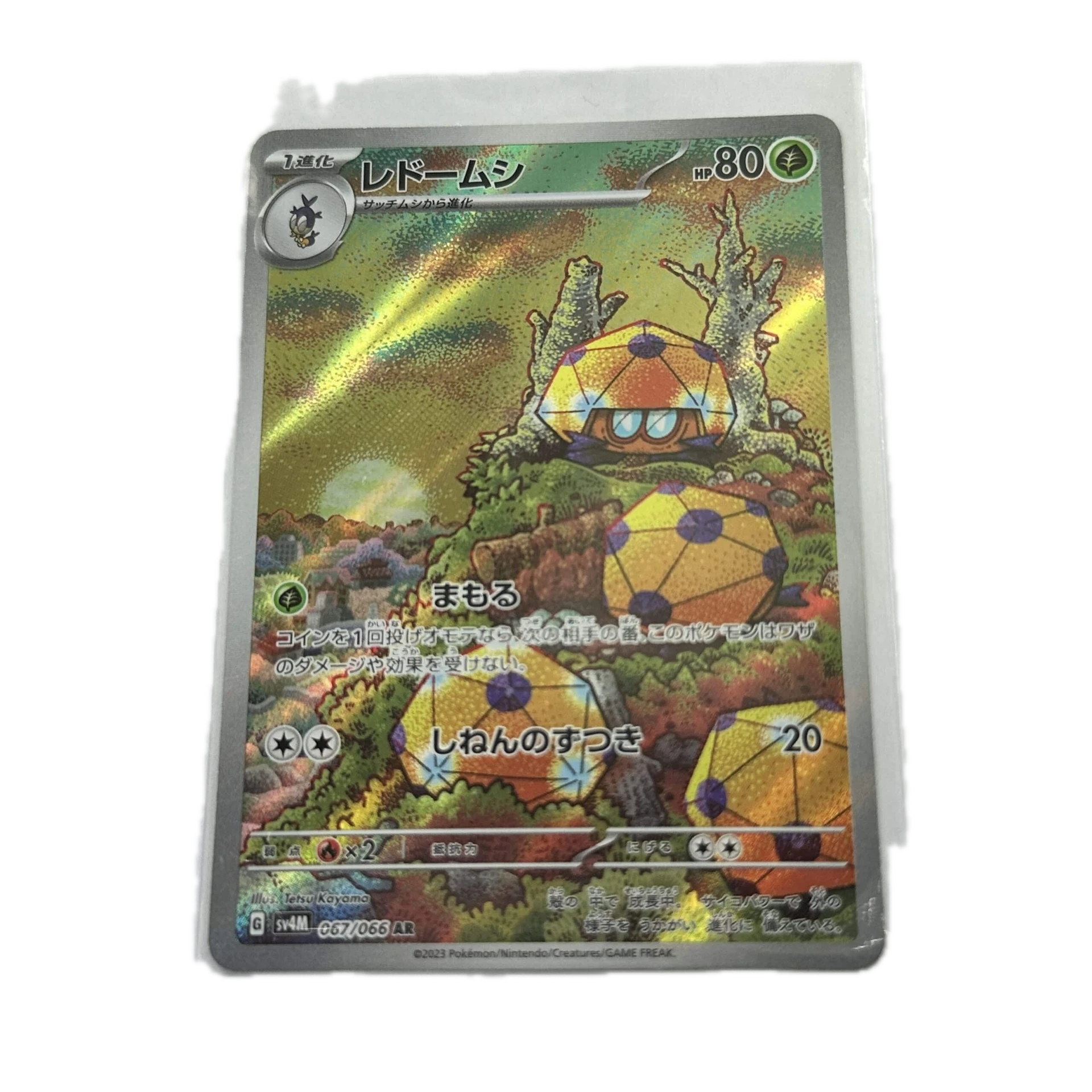 [DOTXX00] Dotler Art Rare – Asia