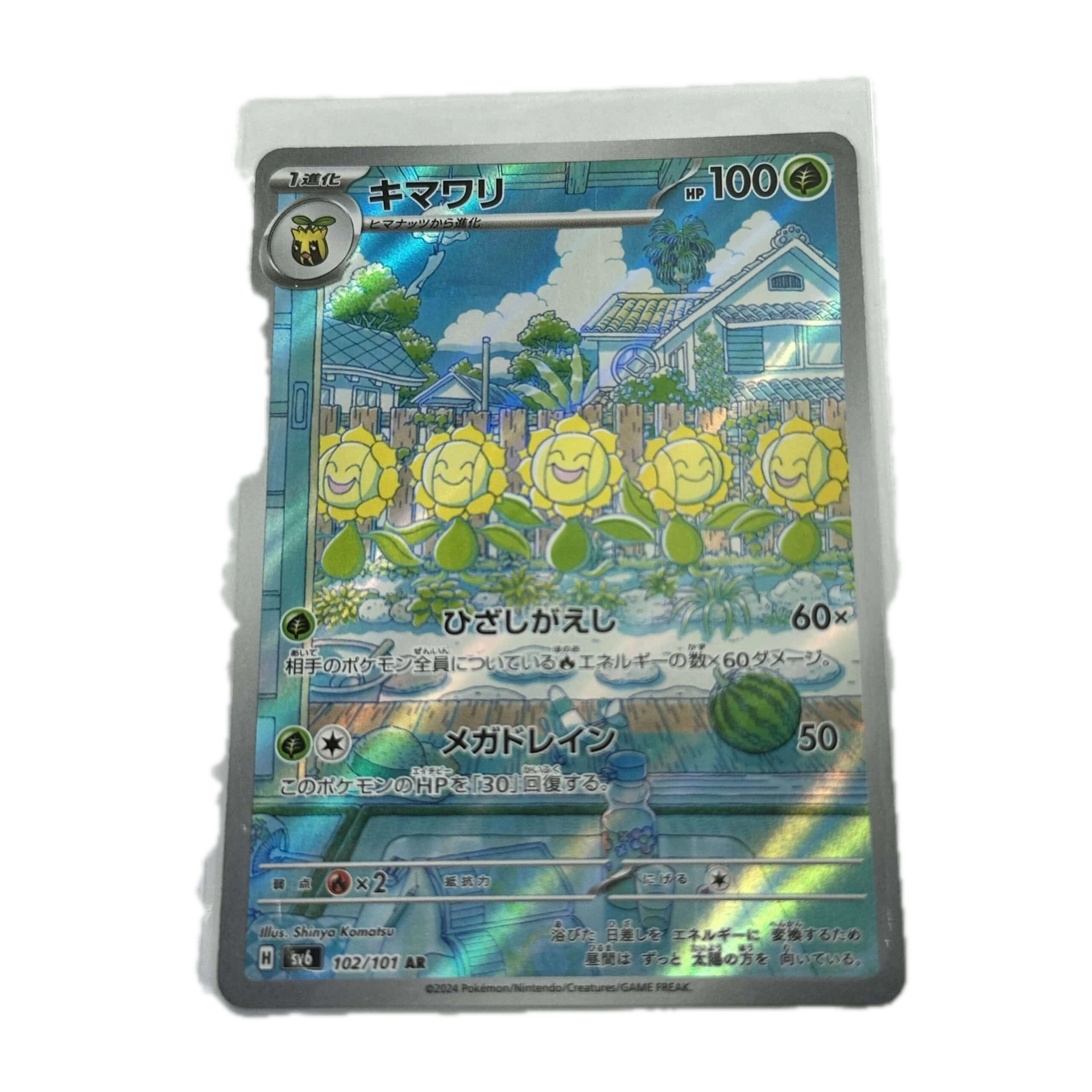 [SUNXX00] Sunflora Illustration Rare – Asia