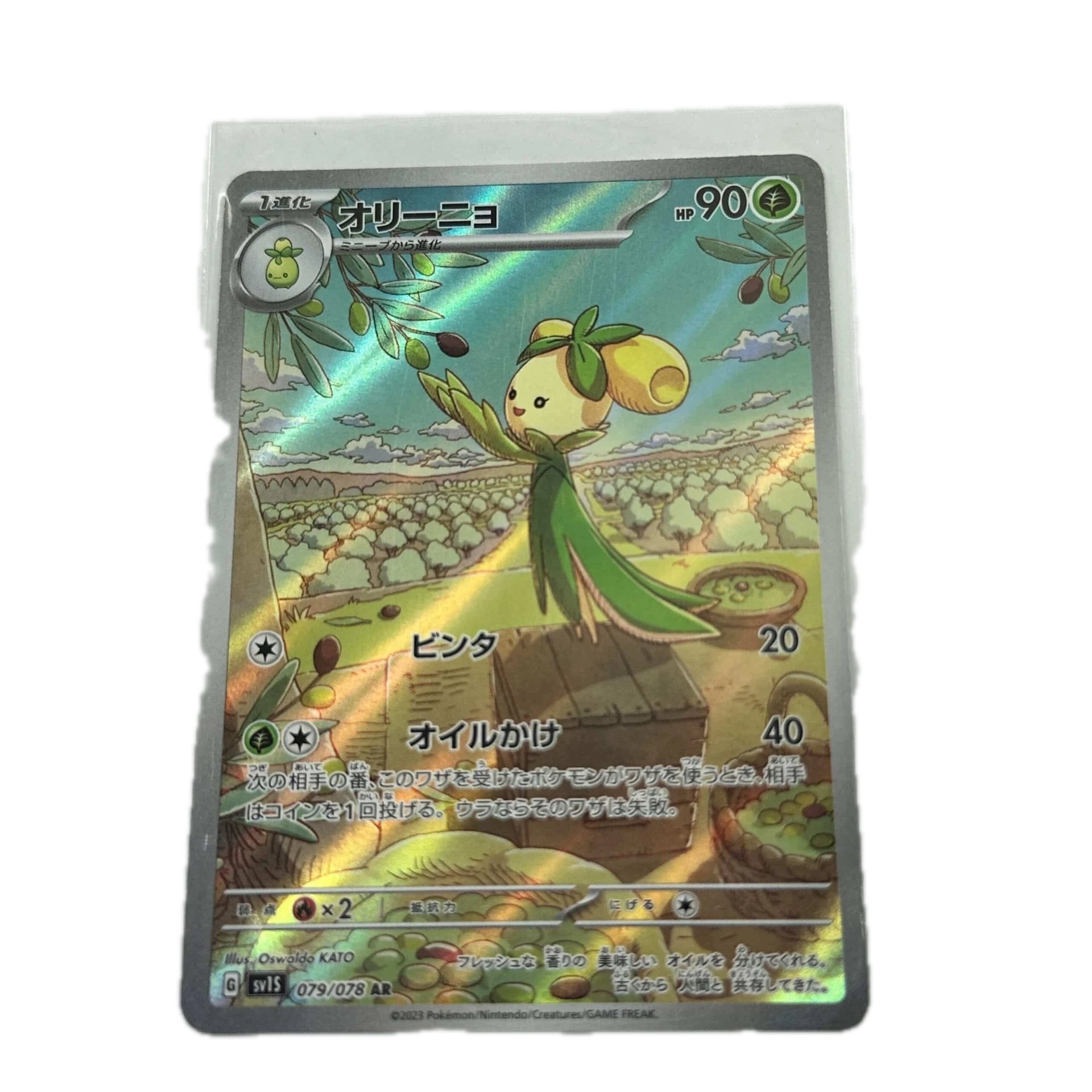 [DOLXX00] Dolliv Art Rare – Asia