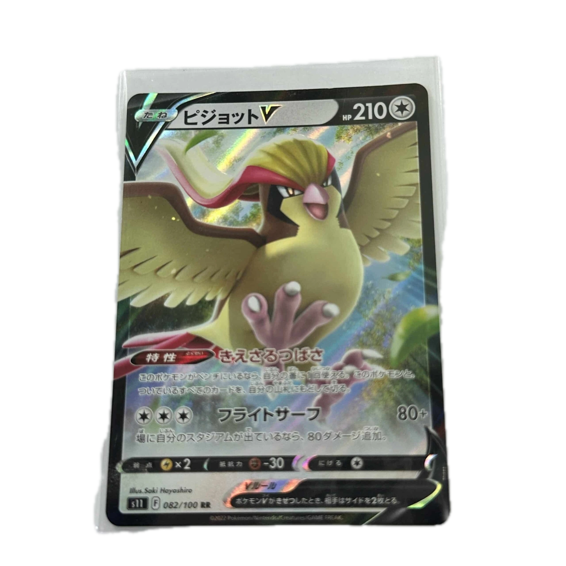 [PIDXX001] Pidgeot V – Asia