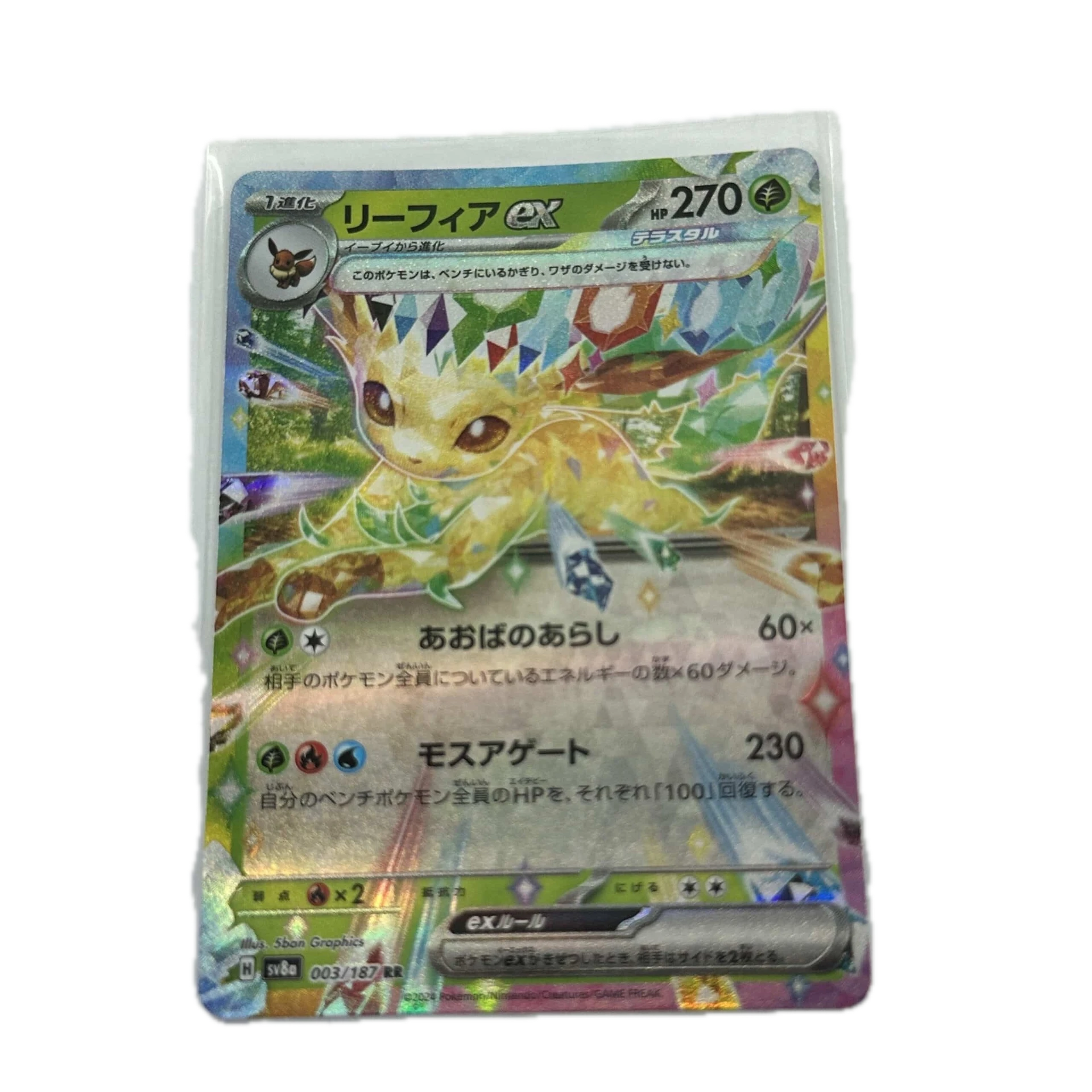 [LEAXX001] Leafeon EX – Asia