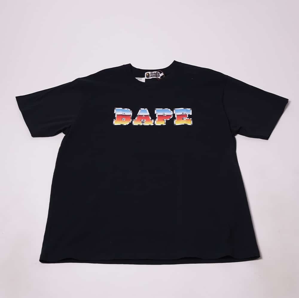 [PLANG048] Bape Steel Bape T-Shirt
